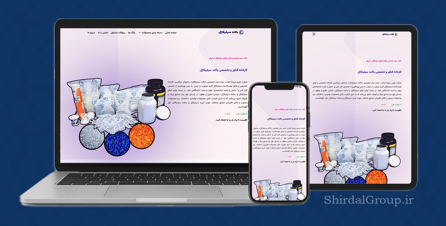 Portfolio Details